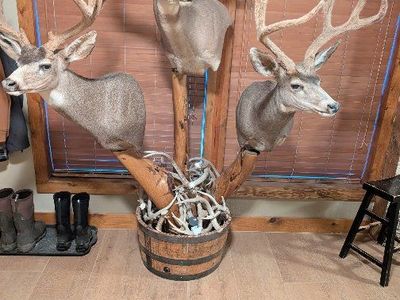 taxidermy pedestal