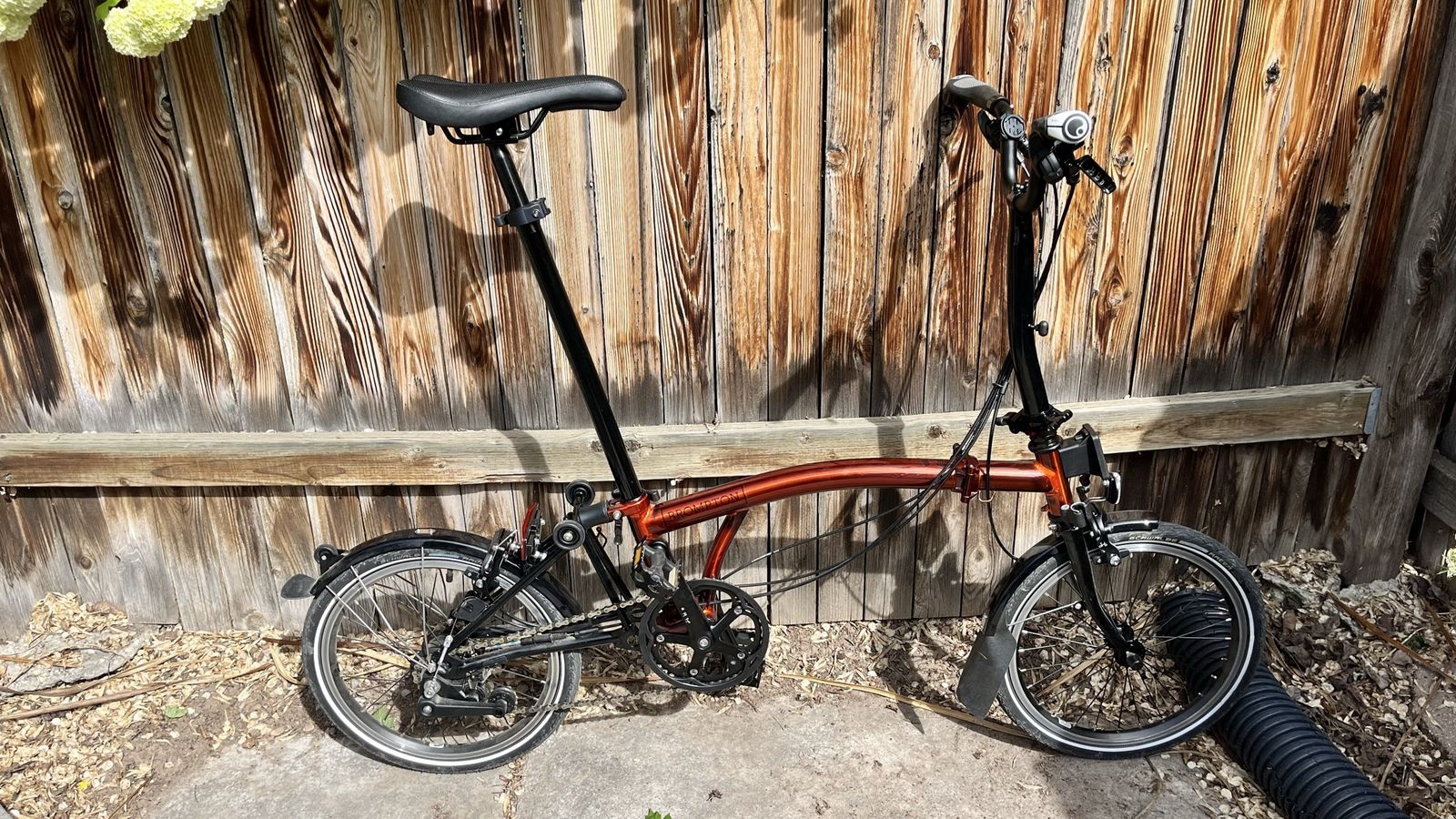 Brompton C Line Black Edition