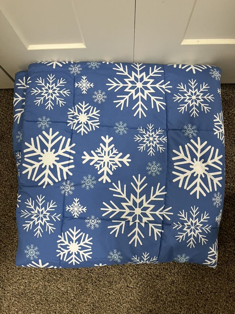 Queen Comforter (Reversible)