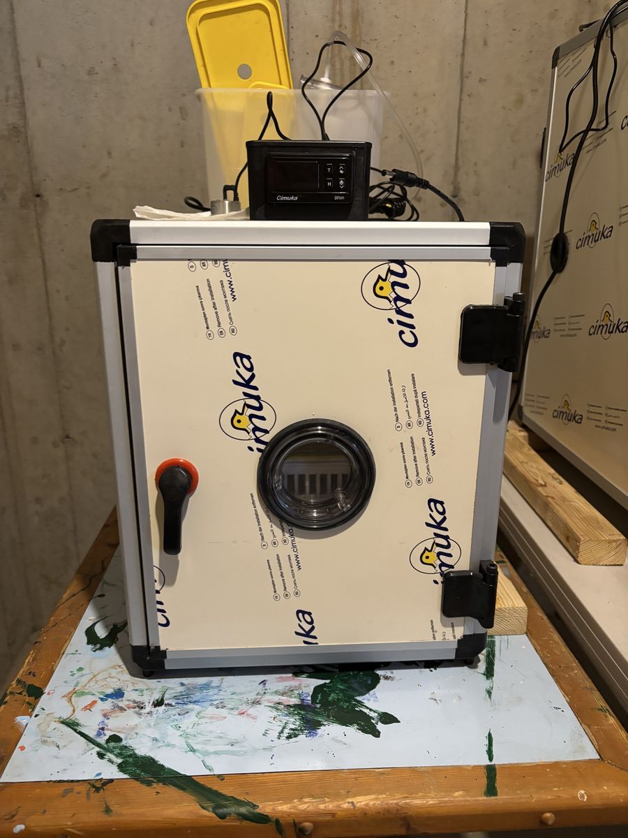 Hatching Time 60 egg incubator