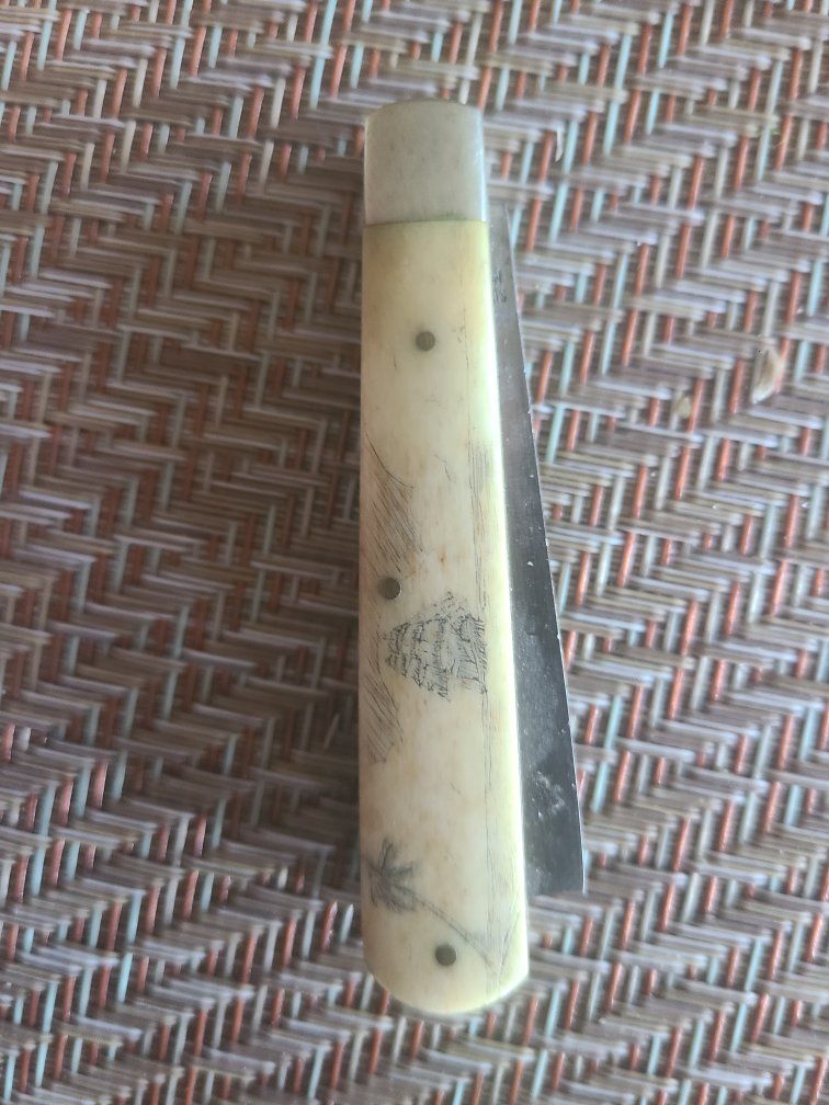 Antique Parker Cut Co Eagle Brand Cutlery Folding Pocket Knife Scrimshaw Handle