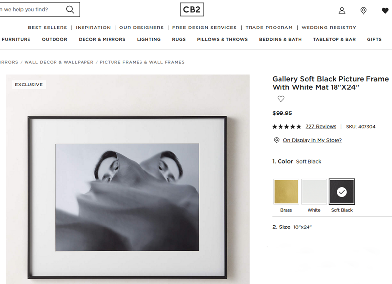 CB2 - 18" x 24"  black gallery picture frame