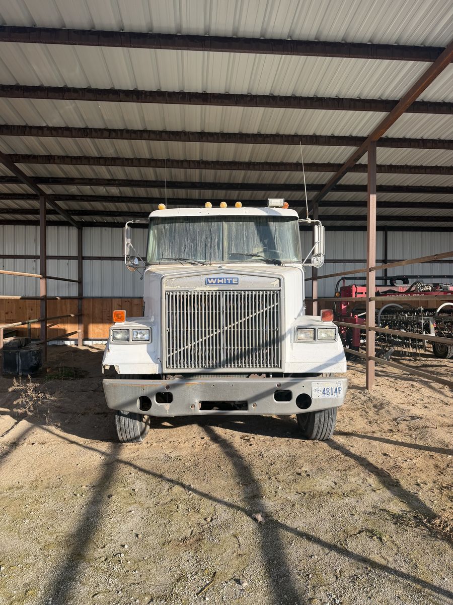 1989 Volvo White