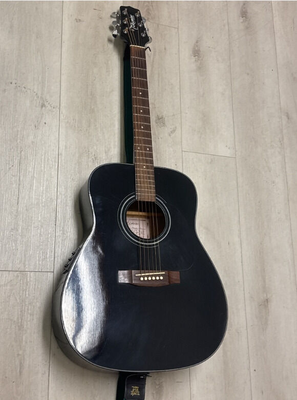 Takamine EG-241 A/E Guitar