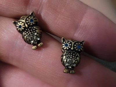 Owl Stud Earrings with Blue Eyes - Unique Animal Design Jewelry