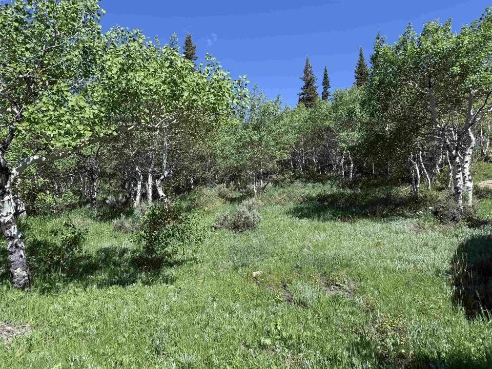 Main image 22
