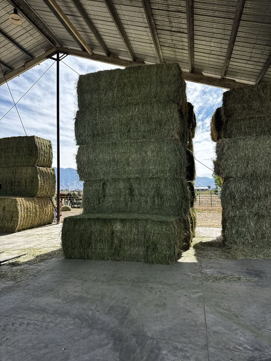 Large Alfalfa Grass Mix Hay Bales - 3x3x9ft, Approx. 940 lbs per bale