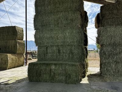 Large Alfalfa Grass Mix Hay Bales - 3x3x9ft, Approx. 940 lbs per bale