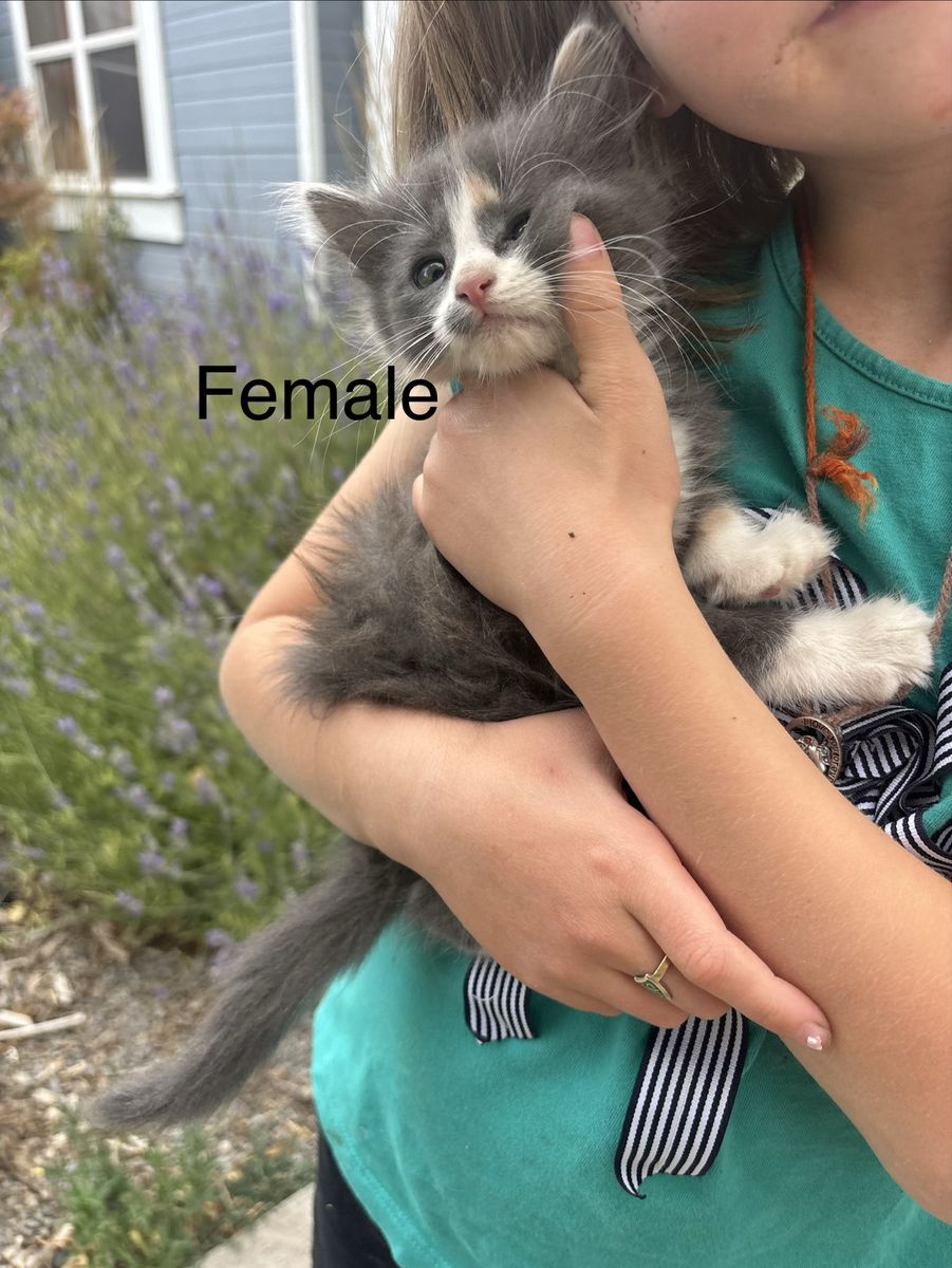 Main image 4