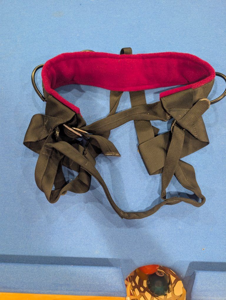 Black Diamond Women's Medium Climbing Harnesses