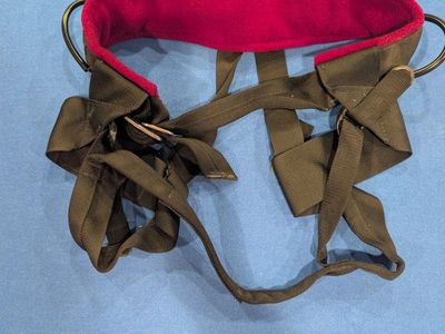 Black Diamond Women's Medium Climbing Harnesses