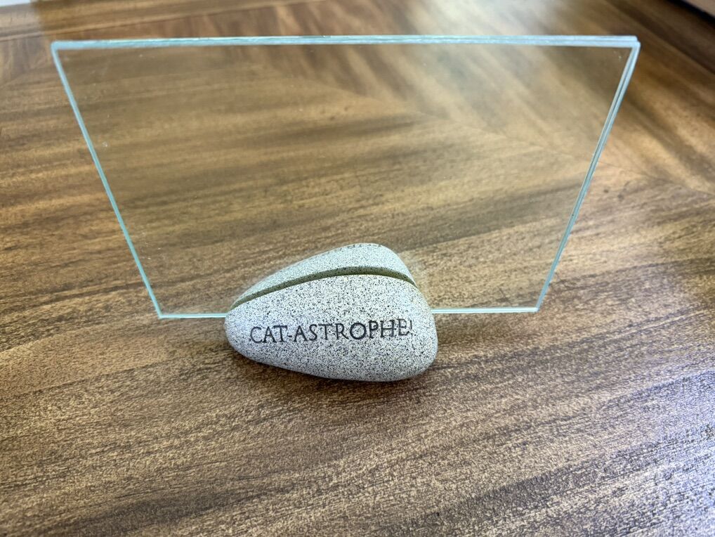 Cat Lovers Picture Frame