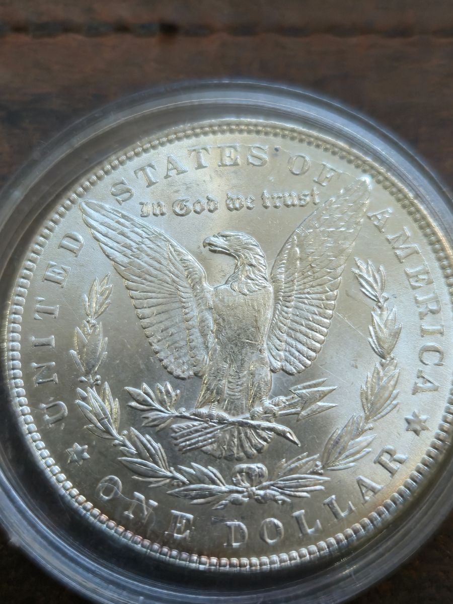 Morgan silver dollars. UC. $80ea