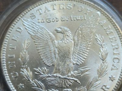 Morgan silver dollars. UC. $80ea