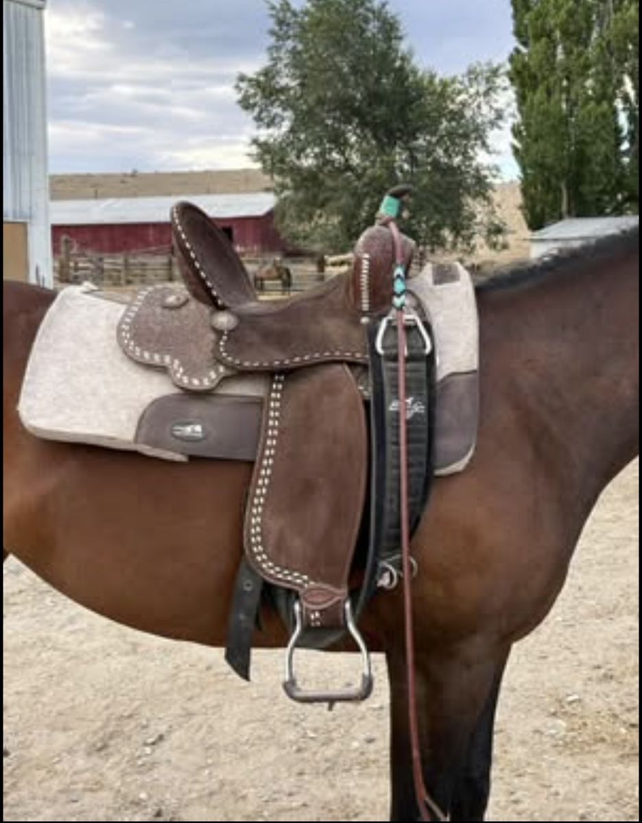 Barrel Saddle