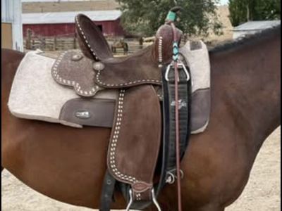 Barrel Saddle
