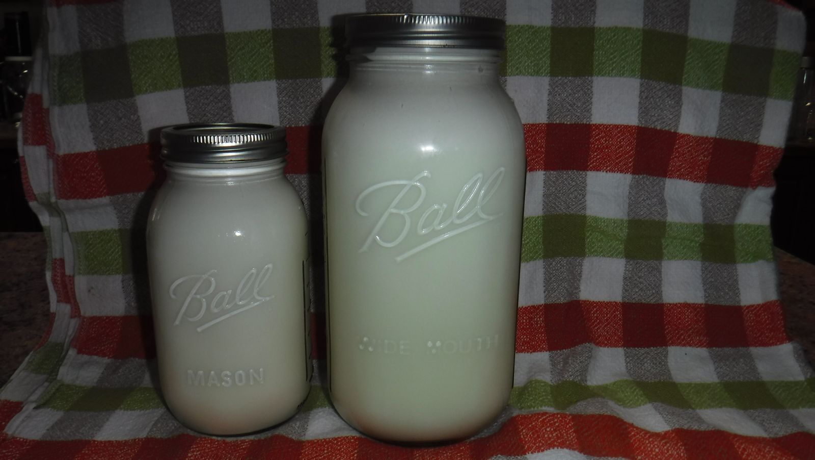 Fresh Raw Goat Milk