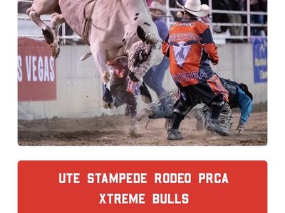 7 tickets to Xtreme Bulls tonight - July 8, 2026 @ 8PM