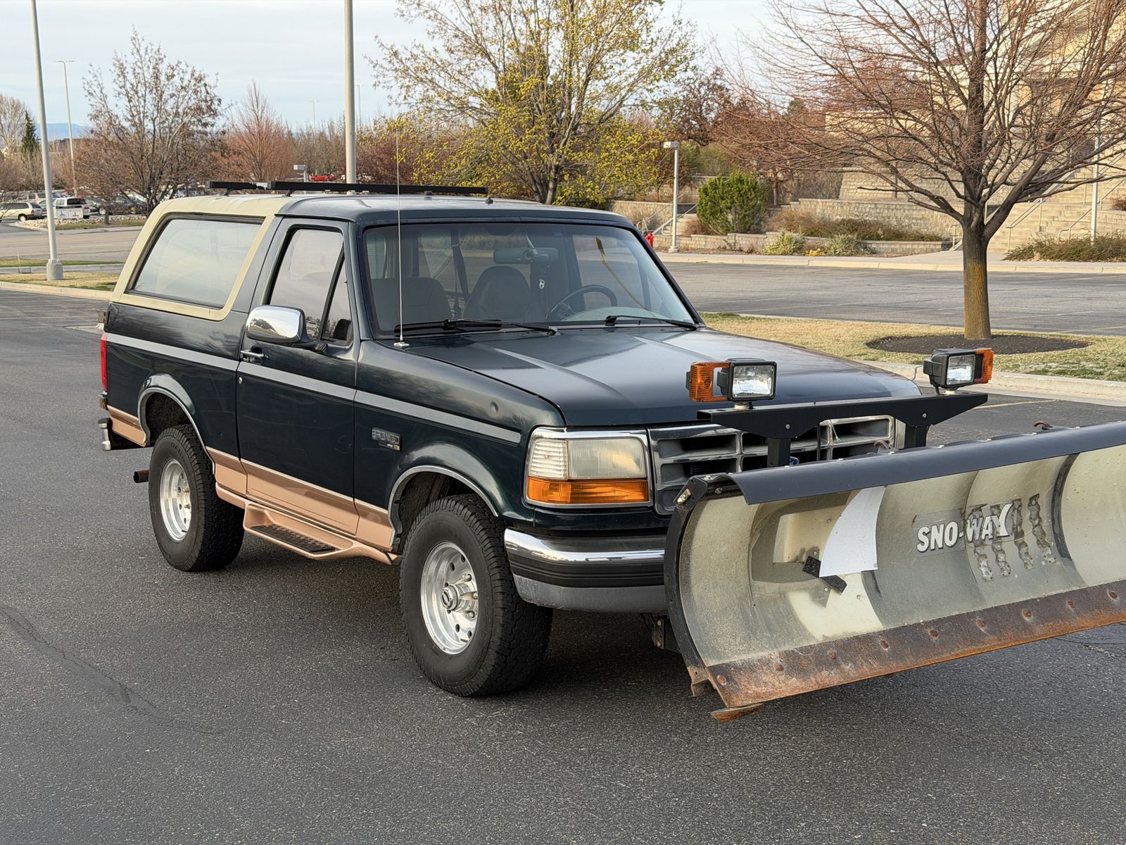 Snow way Plow Kit For F150