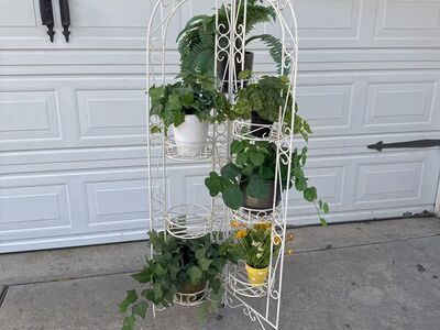 Large, Tall Plant Stand, Holds 9 Large Plants