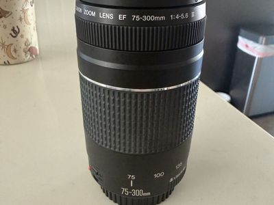 Canon zoom lens
