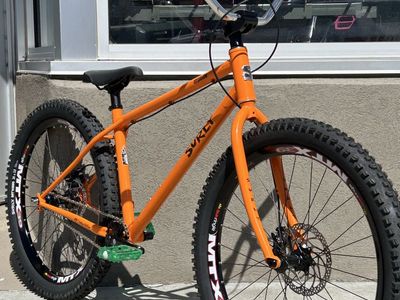 Fresh Built Surly Lowside