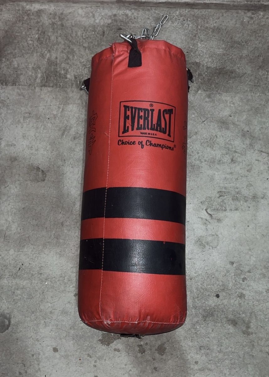 Everlast Boxing Punching Bag 40 Lbs (Small)