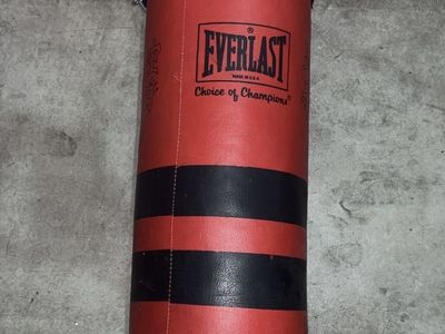 Everlast Boxing Punching Bag 40 Lbs (Small)