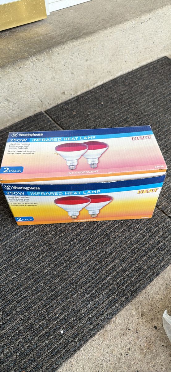 Westinghouse 250W Infrared Heat Lamp Bulbs 2-Pack
