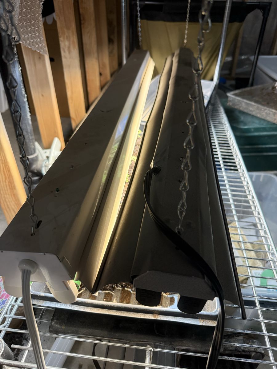 (3) 4FT Shop Lights
