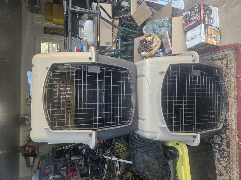 dog kennels