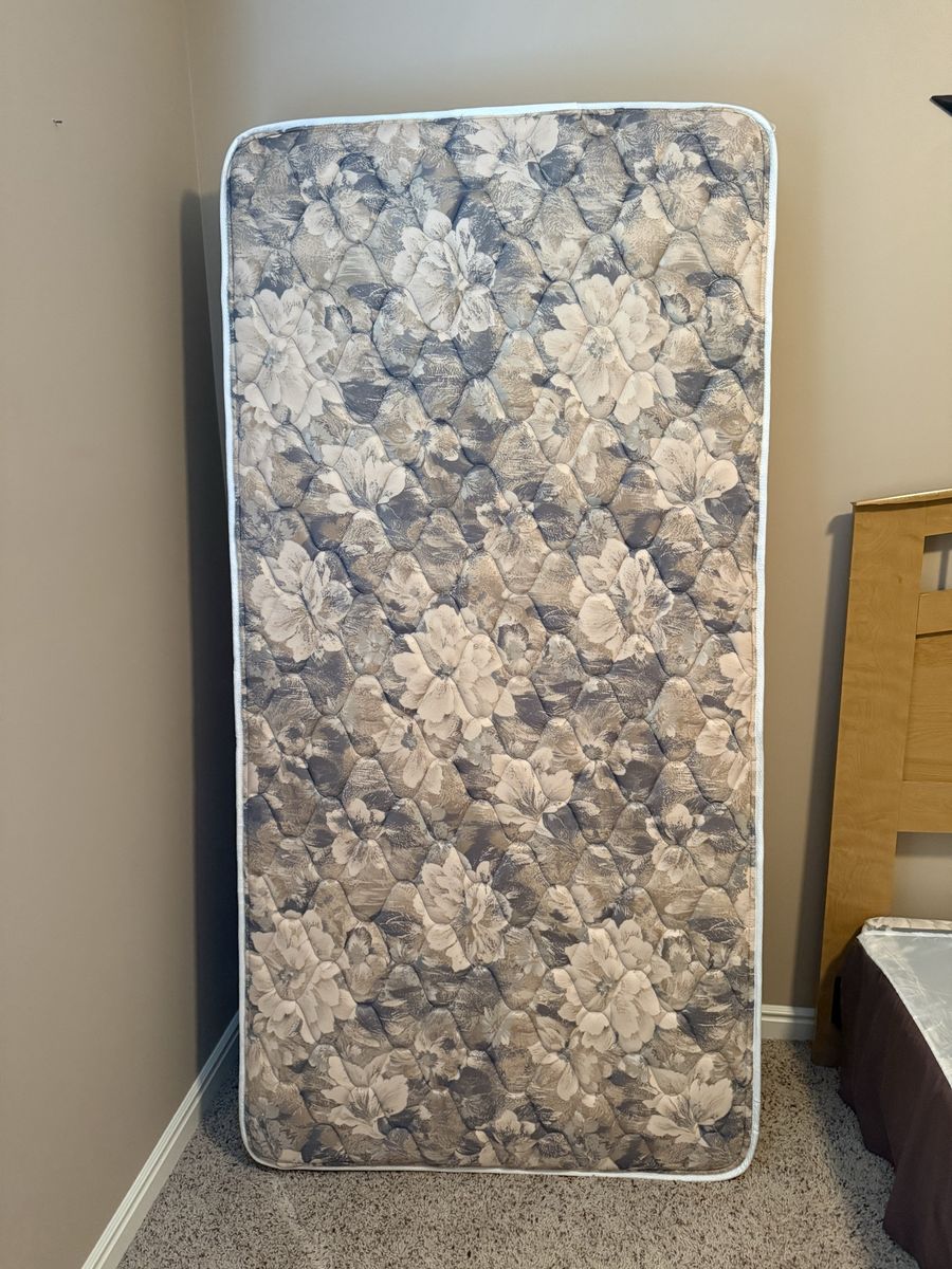 Twin Mattress & Box Spring Set