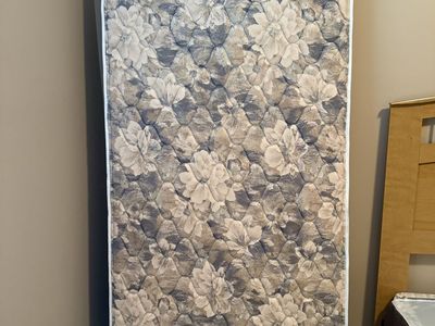 Twin Mattress & Box Spring Set