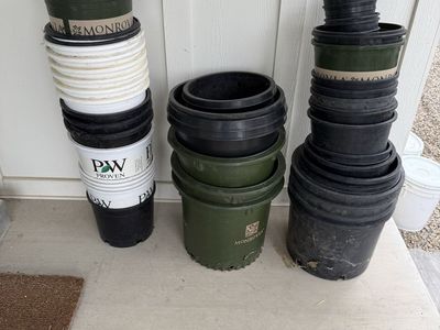 Nursery Pots For Bushes And Perennials