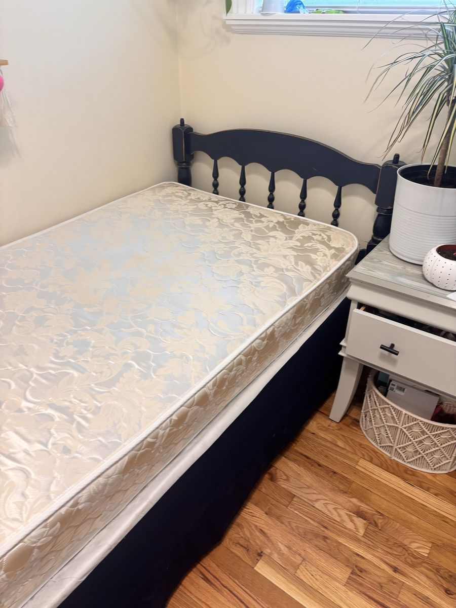 2 Twin Bed Frames plus 1 Twin Mattress & Box Spring