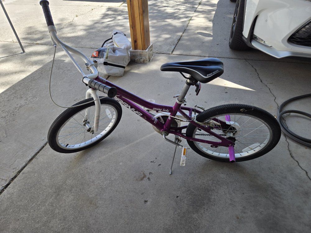 young girls bike 20 inch
