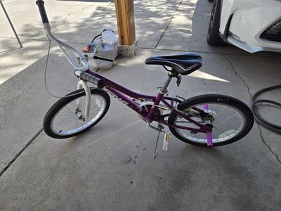 young girls bike 20 inch