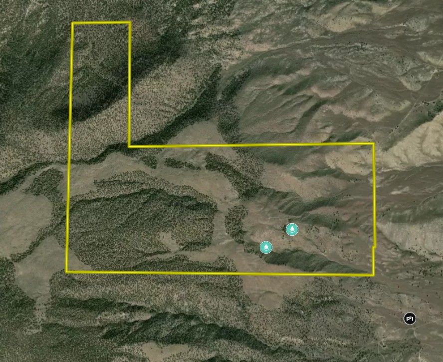 Main image 59