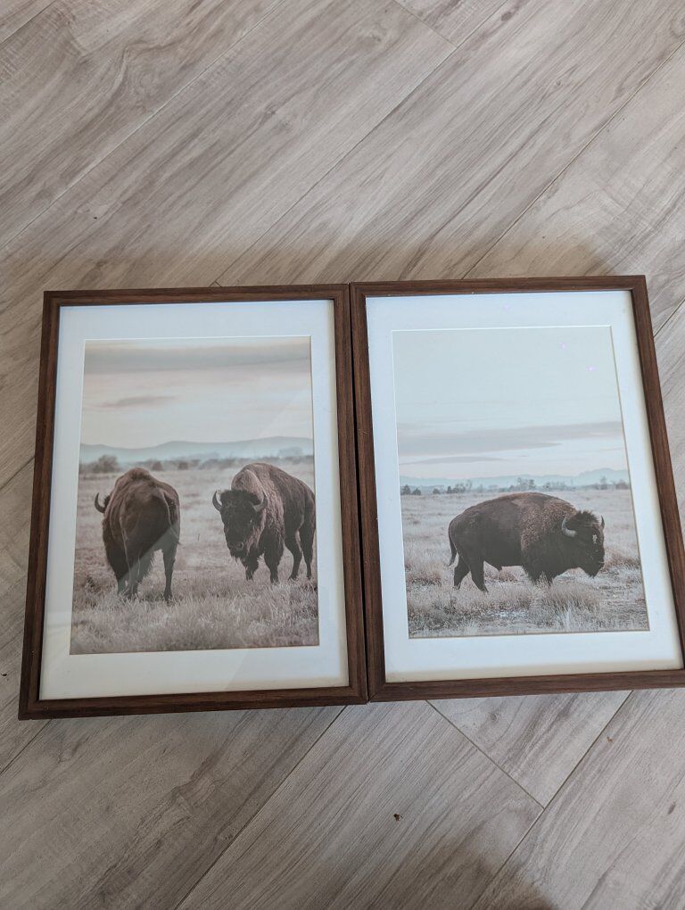 Framed Buffalo Desert Photos