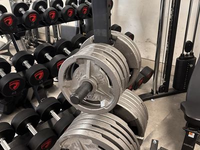 Olympic Hand Grip VTX Plates 700LB