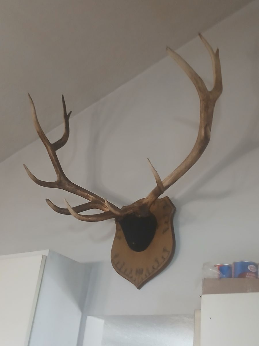 Main image 2