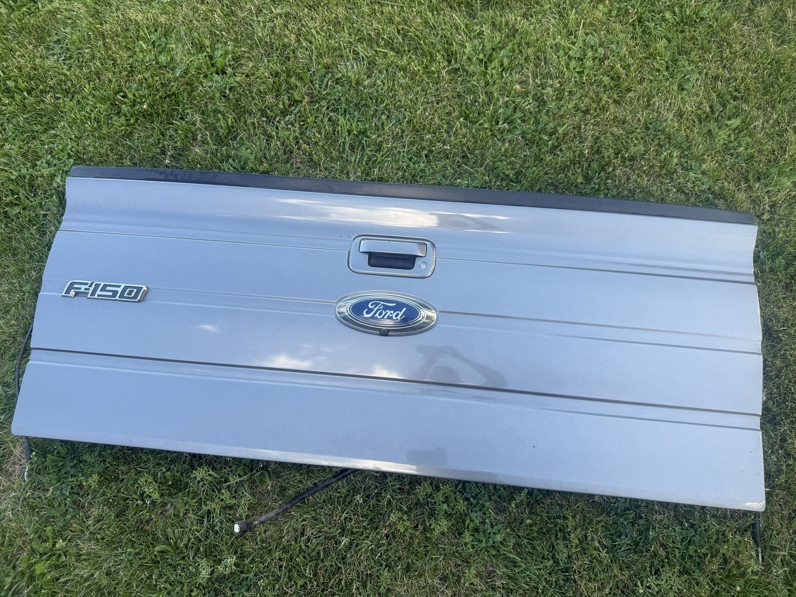 2009 - 2014 Ford F-150 Tailgate