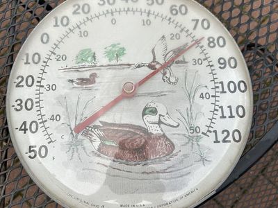 Vintage Thermometer