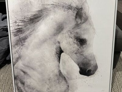 Horse Canvas Picture
