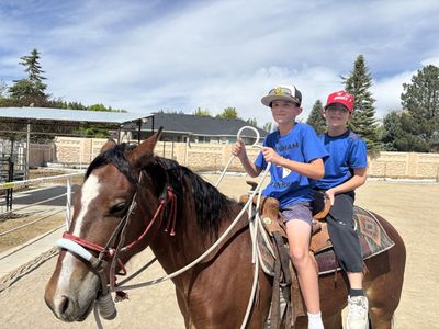 4 Year Old Family Horse