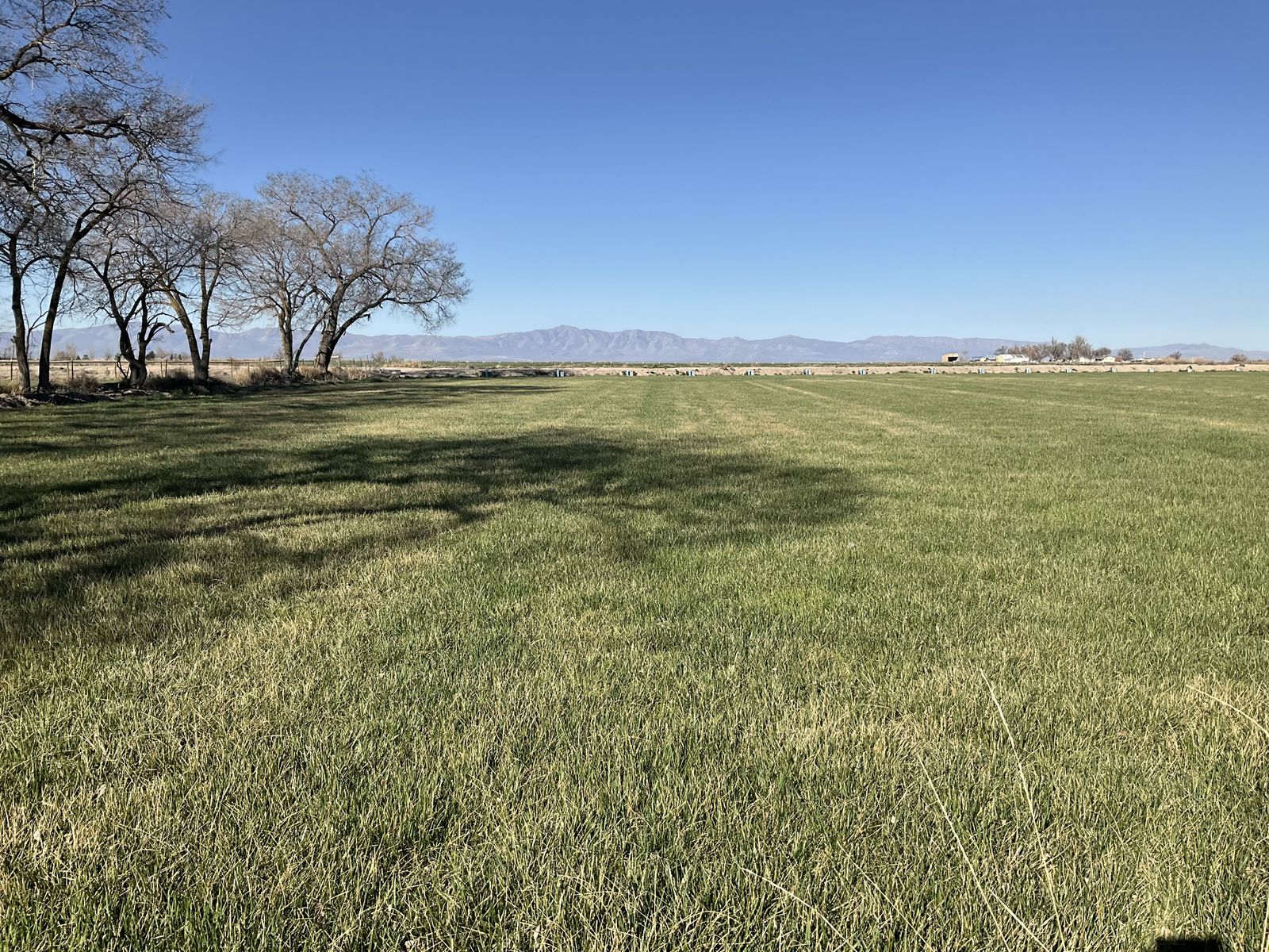 Building lot / horse property