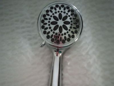 Delta power pulse handheld shower head