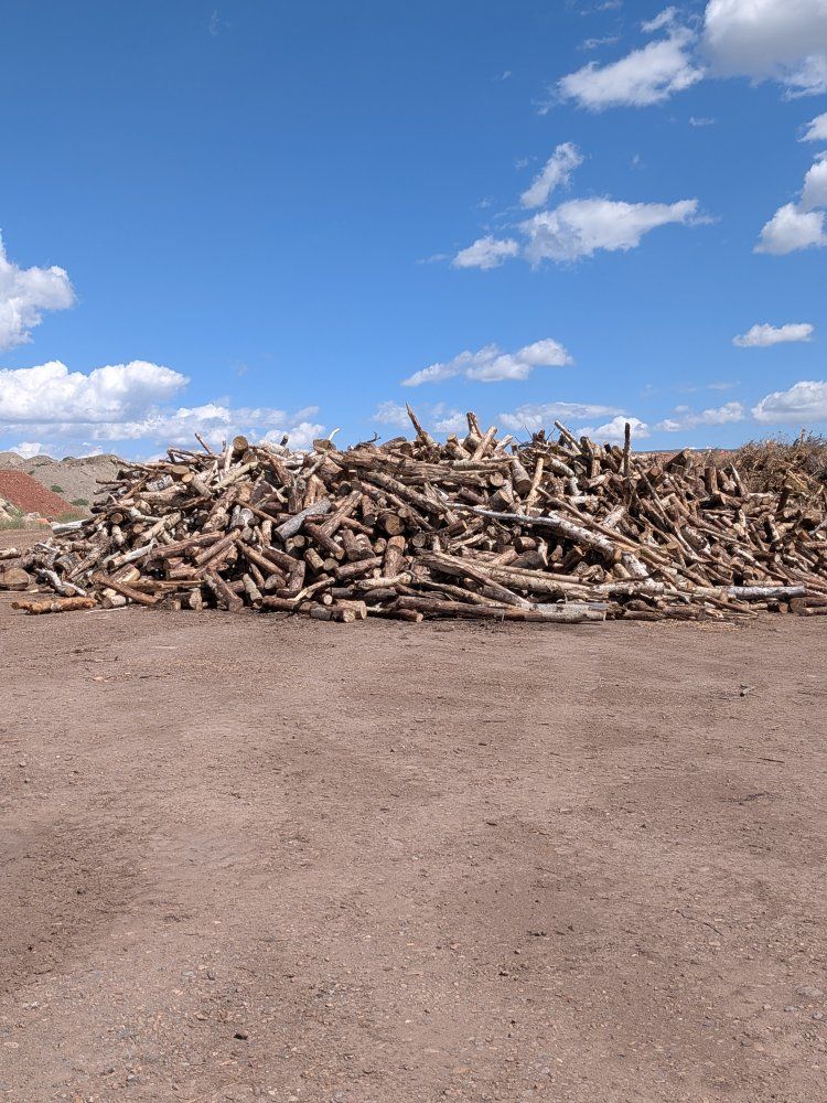 Massive Pile of Firewood
