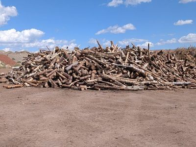 Massive Pile of Firewood