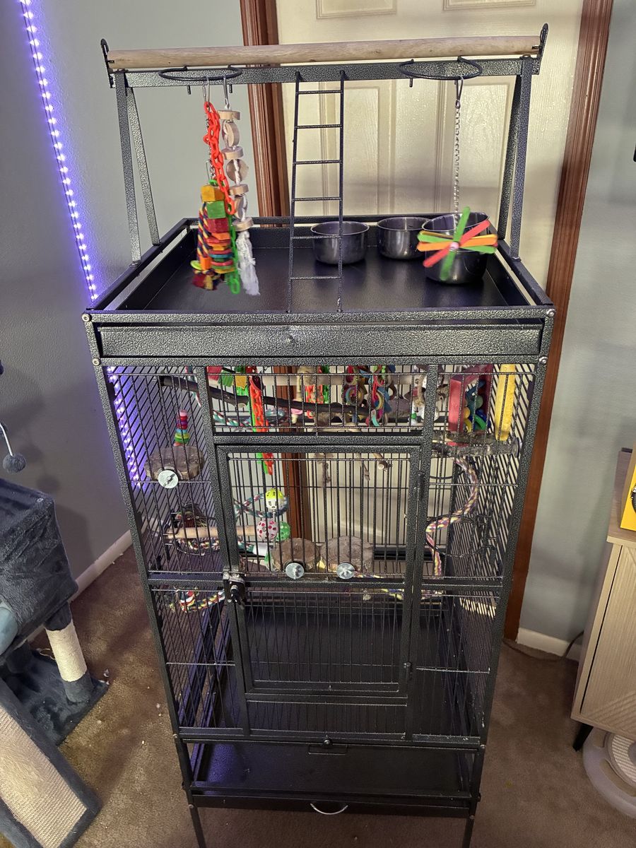 Big bird Cage + BackPack